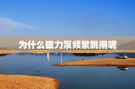 为什么磁力泵频繁跳闸呢