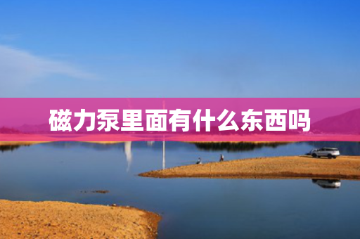 磁力泵里面有什么东西吗