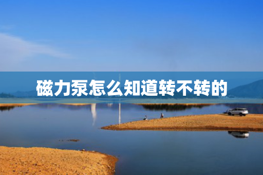 磁力泵怎么知道转不转的