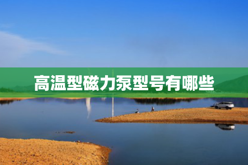 高温型磁力泵型号有哪些