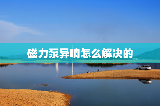 磁力泵异响怎么解决的