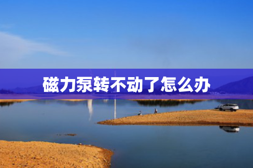 磁力泵转不动了怎么办