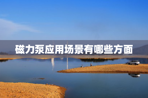磁力泵应用场景有哪些方面