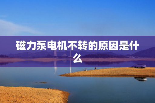 磁力泵电机不转的原因是什么