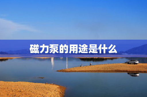 磁力泵的用途是什么