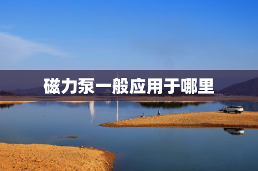 磁力泵一般应用于哪里