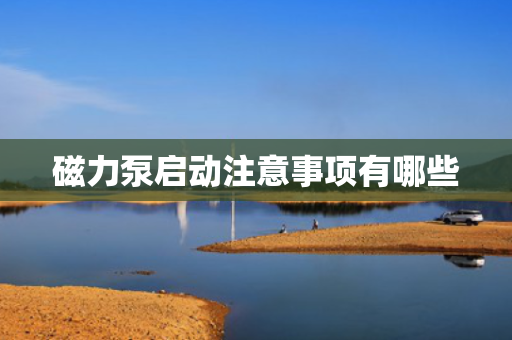 磁力泵启动注意事项有哪些