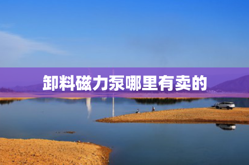 卸料磁力泵哪里有卖的