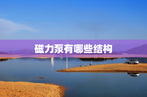 磁力泵有哪些结构