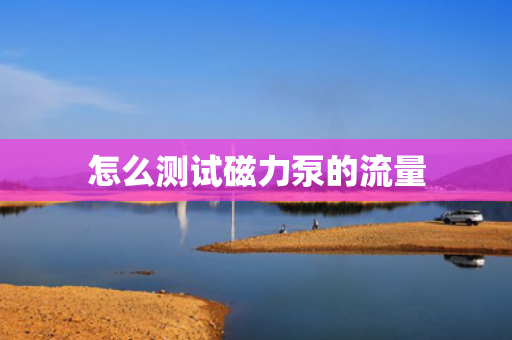 怎么测试磁力泵的流量