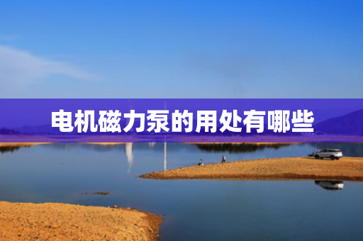 电机磁力泵的用处有哪些