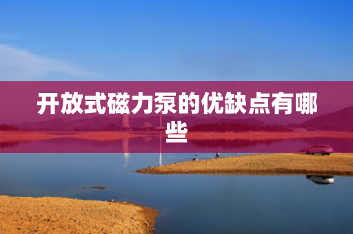 开放式磁力泵的优缺点有哪些