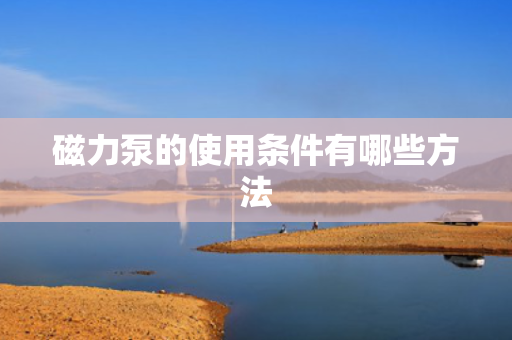 磁力泵的使用条件有哪些方法
