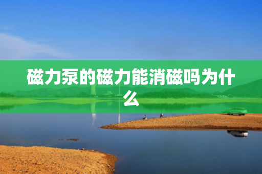 磁力泵的磁力能消磁吗为什么