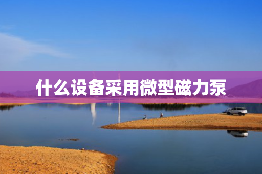 什么设备采用微型磁力泵