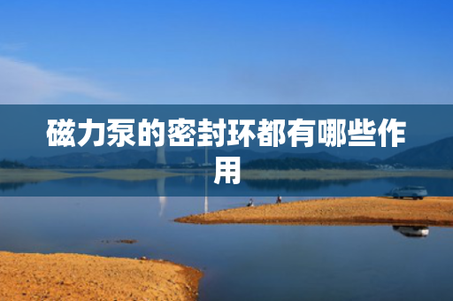 磁力泵的密封环都有哪些作用