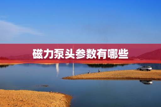 磁力泵头参数有哪些