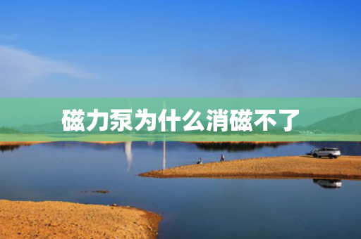 磁力泵为什么消磁不了