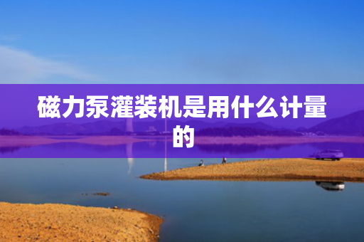 磁力泵灌装机是用什么计量的