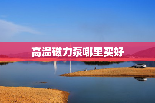 高温磁力泵哪里买好