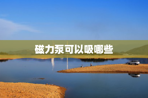 磁力泵可以吸哪些
