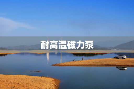 耐高温磁力泵