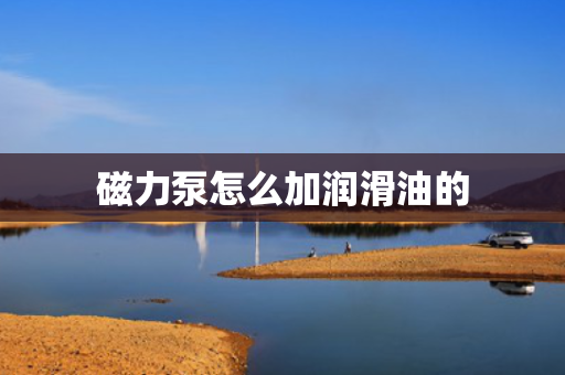 磁力泵怎么加润滑油的