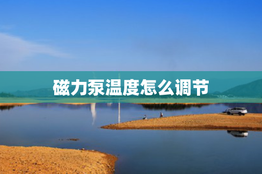 磁力泵温度怎么调节