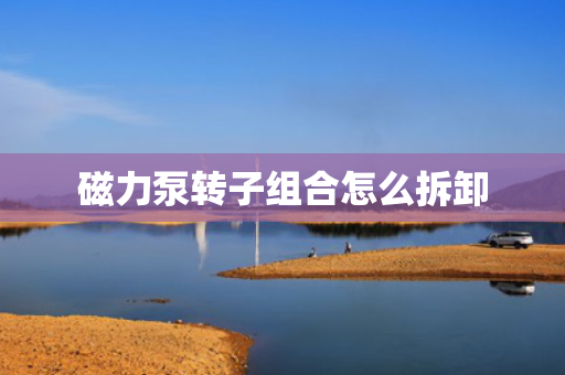 磁力泵转子组合怎么拆卸