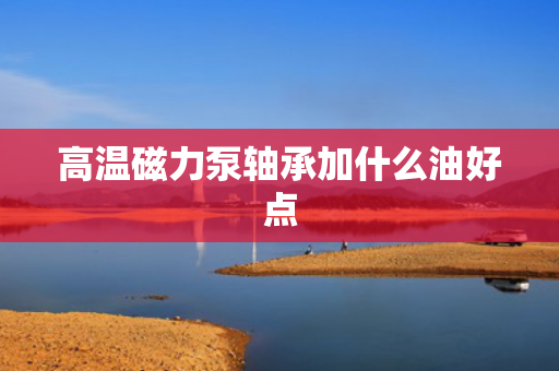 高温磁力泵轴承加什么油好点