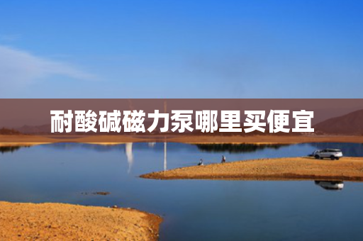 耐酸碱磁力泵哪里买便宜