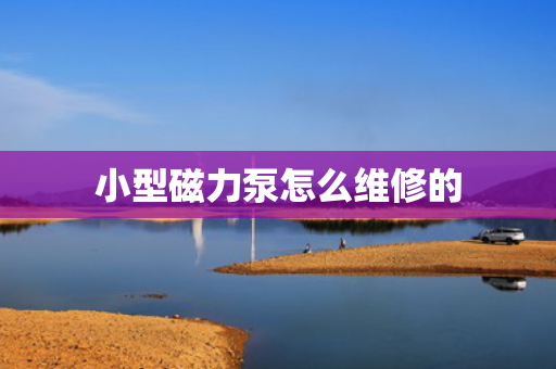 小型磁力泵怎么维修的