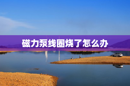 磁力泵线圈烧了怎么办