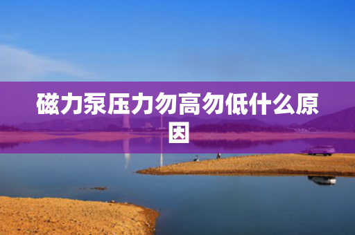 磁力泵压力勿高勿低什么原因