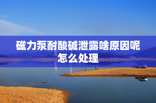 磁力泵耐酸碱泄露啥原因呢怎么处理