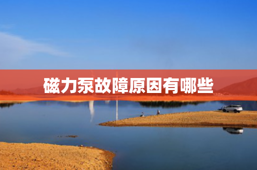 磁力泵故障原因有哪些