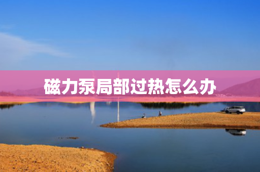磁力泵局部过热怎么办