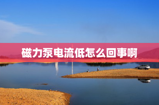 磁力泵电流低怎么回事啊