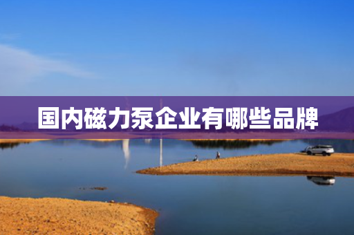 国内磁力泵企业有哪些品牌