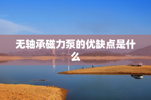 无轴承磁力泵的优缺点是什么