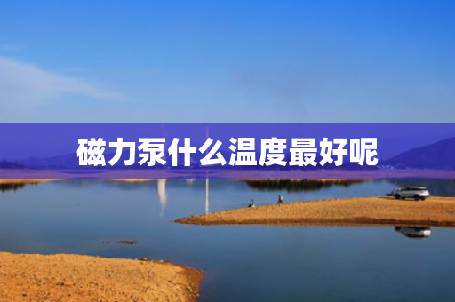 磁力泵什么温度最好呢