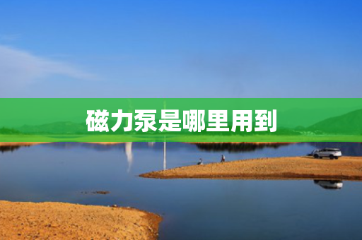 磁力泵是哪里用到