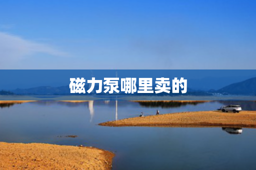 磁力泵哪里卖的