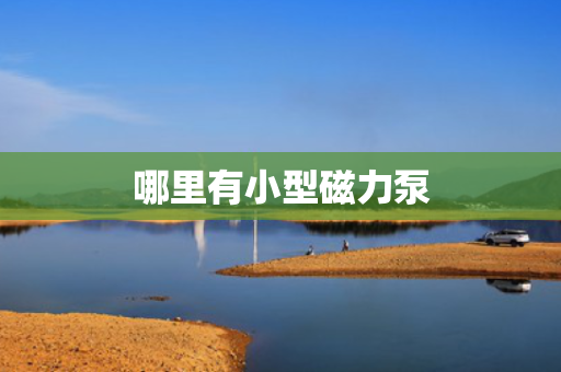 哪里有小型磁力泵