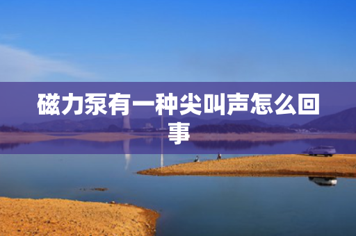 磁力泵有一种尖叫声怎么回事