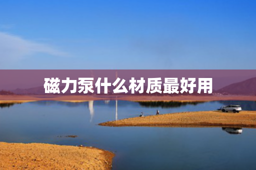 磁力泵什么材质最好用