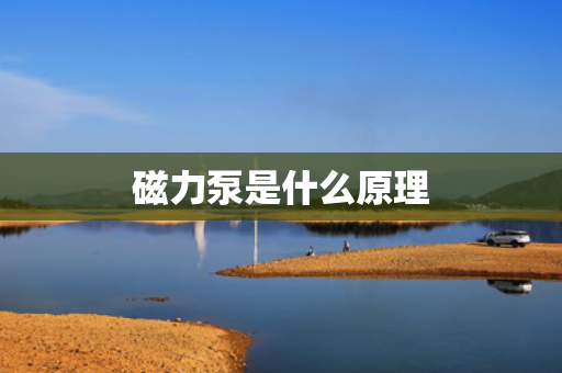 磁力泵是什么原理