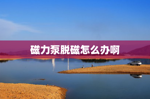 磁力泵脱磁怎么办啊