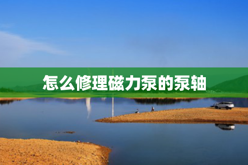 怎么修理磁力泵的泵轴