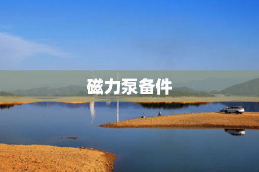 磁力泵备件